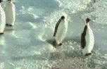 small1222655.gif