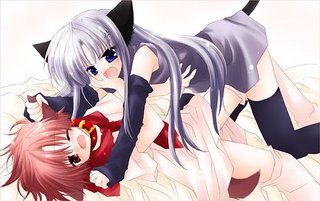 Cats45.jpg~320x480