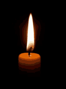 fCND5cb3483012153.gif