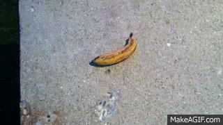 hmwaO3.gif