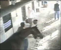 tumblr_n5jjz0v8851qdlh1io1_250.gif
