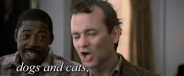 living-together.gif