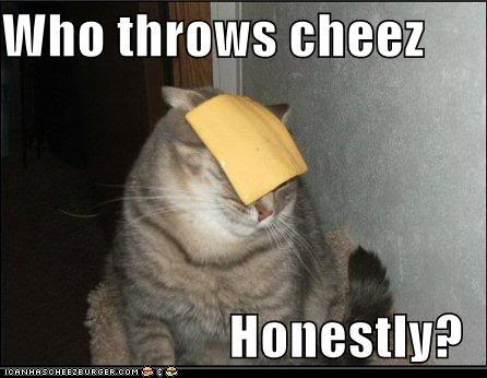 funny-pictures-cat-asks-who-throws-.jpg
