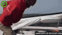 200w.gif