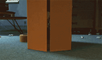 ThjKn.gif
