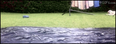 slip-n-slide-dude.gif
