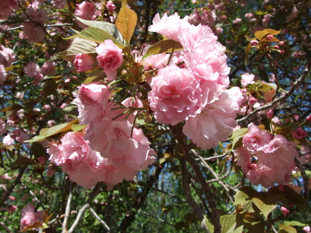 DSCF3002.jpg