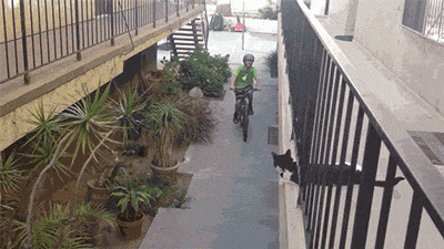 tumblr_n6hisxUk6r1rw1wnno1_400.gif