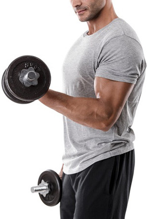 13310Bodybuilder.jpg