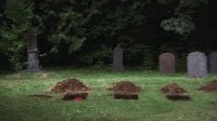 200w.gif
