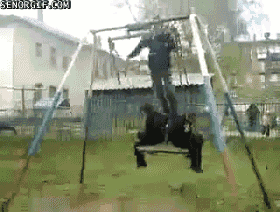 daily_gifdump_45_09.gif