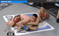 200w.gif