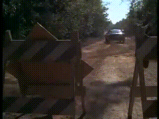 zrDgmiz.gif