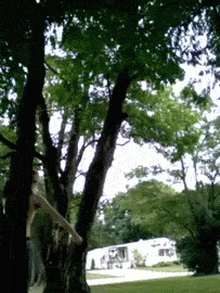 vZ6gaV.gif