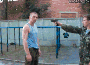6n1vxv.gif