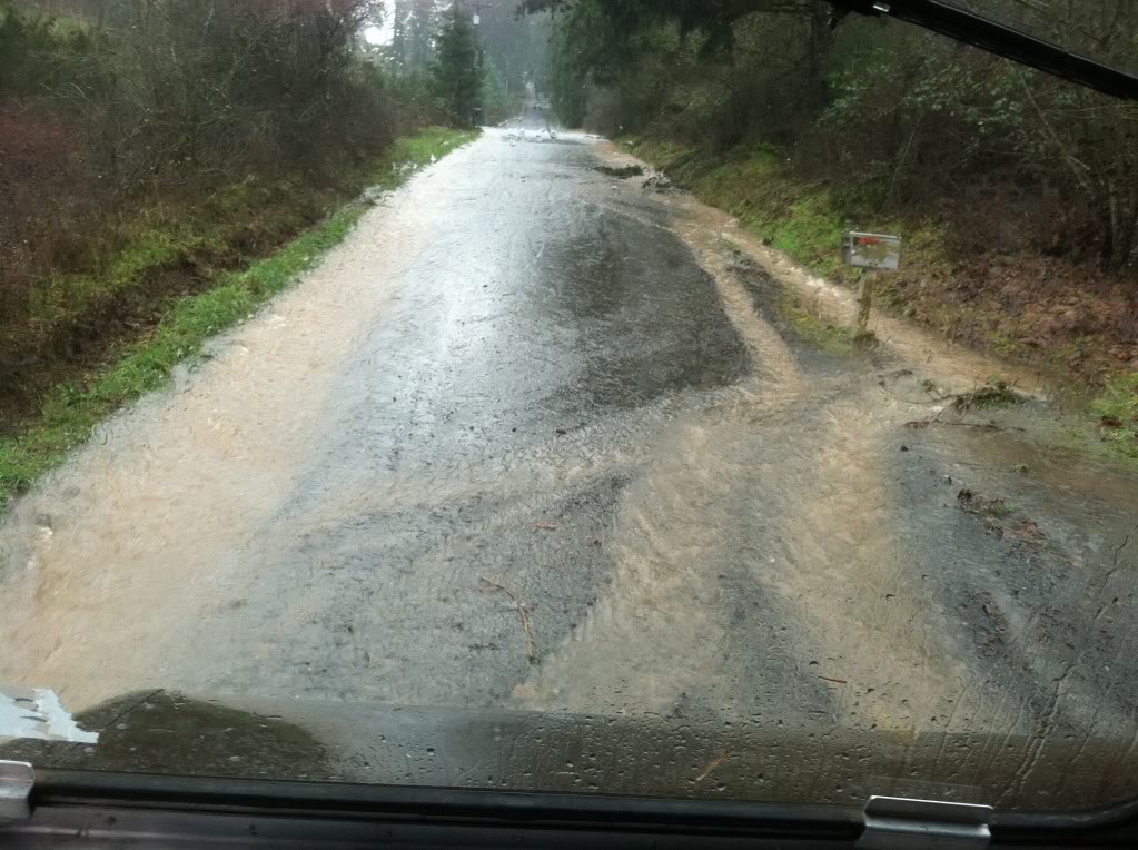 flood3.jpg