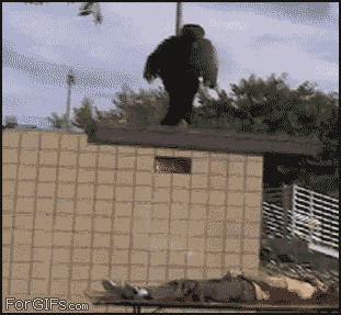They+say+don+t+try+this+at+home_d7e9f4_4681249.gif
