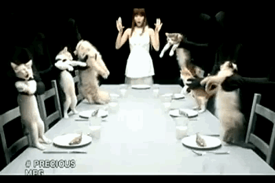 tumblr_lz2zbkQTXF1r87hxxo1_400.gif