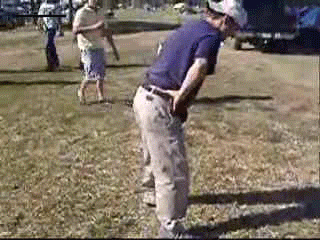 rJcvx.gif