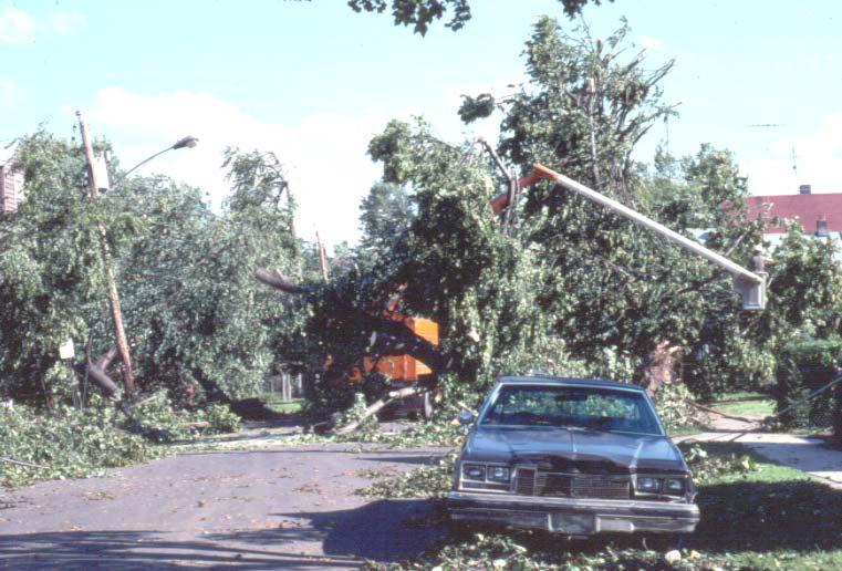 Hamden_tornado.jpg