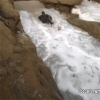 200w.gif