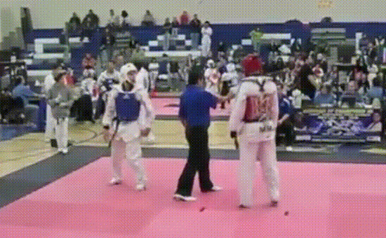 UXcOkavRMaFAVCzhW9SA_Karate%20Ref%20Kick.gif