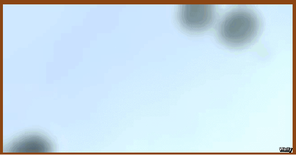 5rn4w55uGLdp.gif