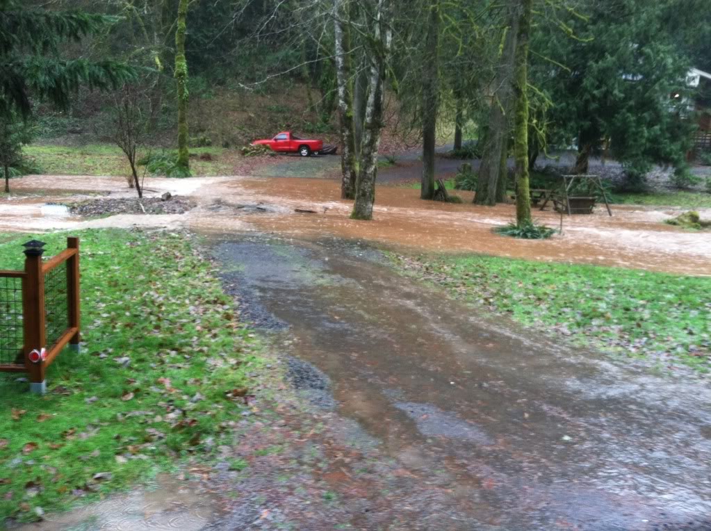 flood2.jpg