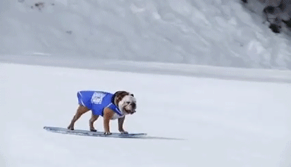 tumblr_nyub0wKsza1rc7zl1o2_500.gif