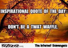 71330936ed5ec41ec88a831ea4ed42ff.jpg