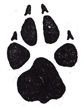 PawPrints-AC-E96.gif