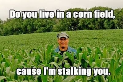 kind-of-corny-but-107425.jpg