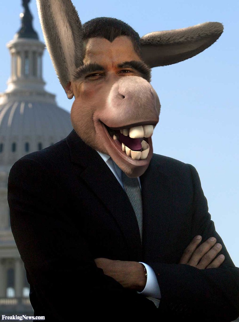 OBAMA-DONKEY--48160.jpg