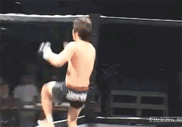 1291664117_mma-backflip-fail.gif
