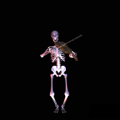 skeletonfiddle.gif
