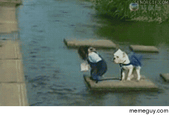 monkeys-best-friend-38452.gif