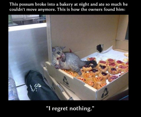 i-regret-nothing.jpg