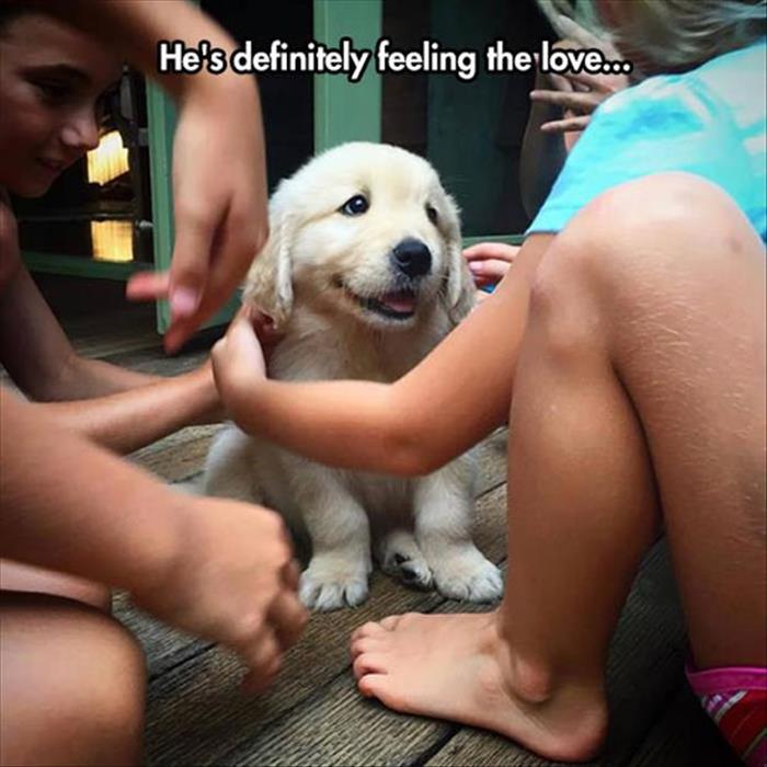 the-funny-animals-136.jpg