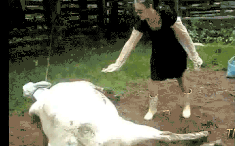 dMFBX3n.gif