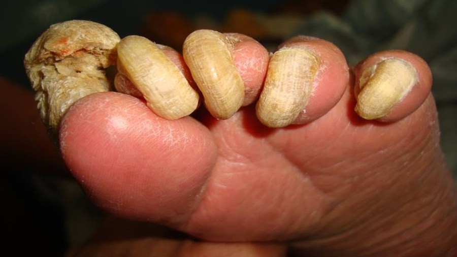Gc_76ecd2_6164474.jpg