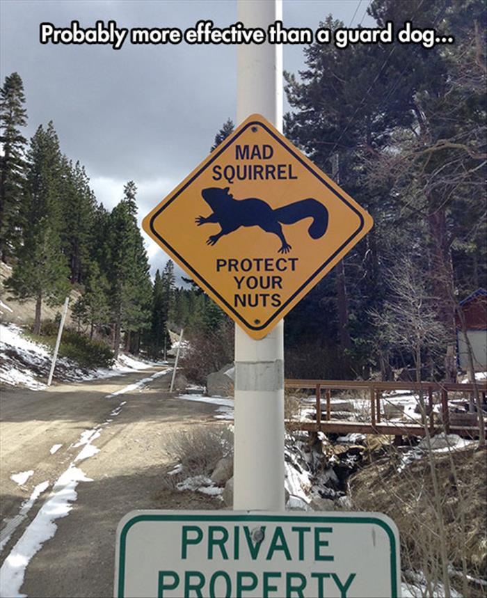 z-funny-pictures-312.jpg