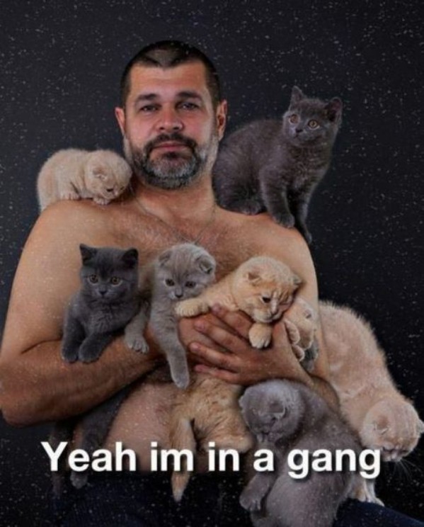 in-a-gang.jpg