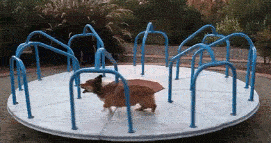 rFyDLki.gif