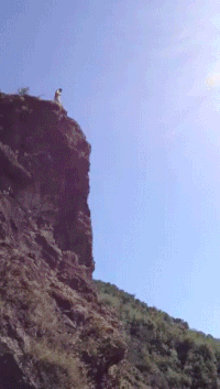 200w.gif