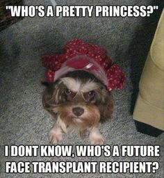 97d5da266e014e5fbc2a803ef66b237d.jpg