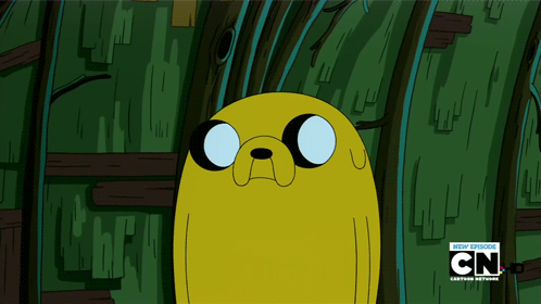 tumblr_m0lg20EIDz1rqfhi2o1_500.gif