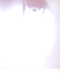 200w.gif