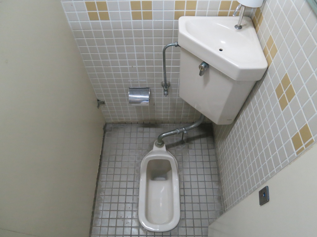 Squat-Toilet1.jpg