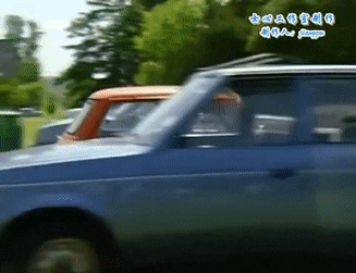 KindheartedKnobbyAmericankestrel-small.gif