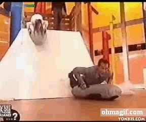 giphy.gif